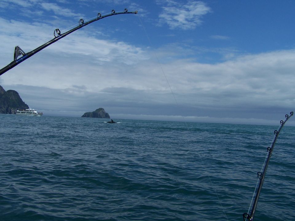 fishing rods in ocean, whale or dolphin surfaces near island, boat in distance