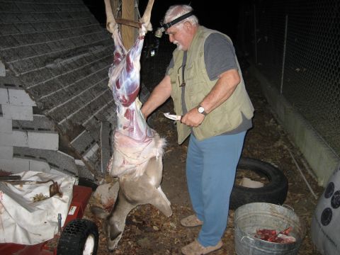 1986 Ford Bronco - A man wearing a headlamp and vest is field dressing a deer that is hanging from a wooden post.