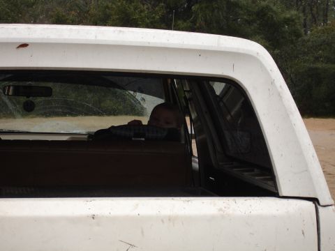 1989 Ford Bronco - Child looks out from the back of a white pickup truck.