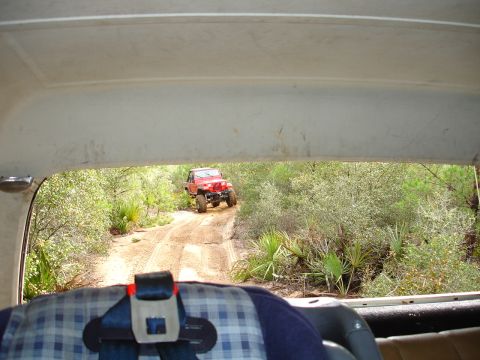 1989 Ford Bronco - A red off-road vehicle navigates a dusty trail through dense vegetation.