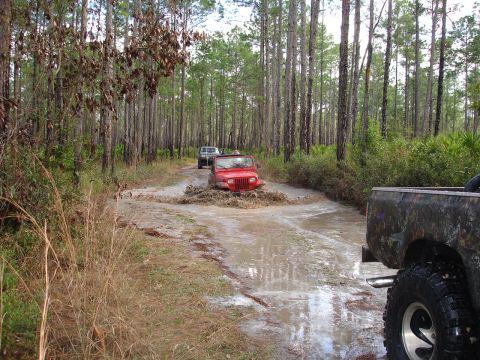 1989 Ford Bronco - Multiple off-road vehicles navigate a muddy path through a dense forest.
