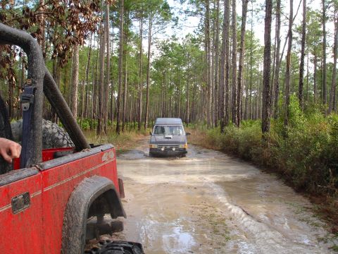 1989 Ford Bronco - Two off-road vehicles navigate a muddy path surrounded by tall pine trees.