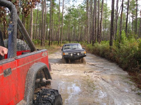 1989 Ford Bronco - Two off-road vehicles navigate a waterlogged dirt road surrounded by tall pine trees.