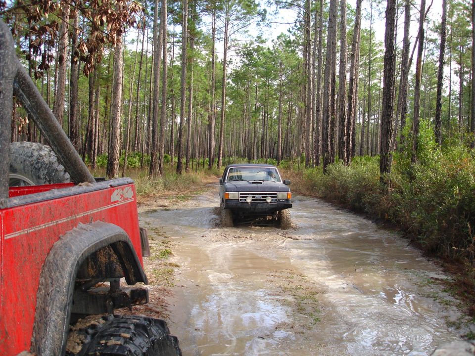 Dark SUV driving through mud, red Jeep in foreground, pine forest