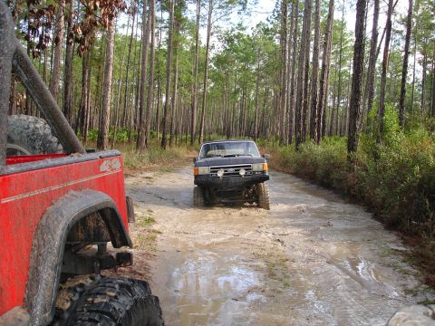 1989 Ford Bronco - A 1989 Ford Bronco navigates a muddy trail surrounded by tall pine trees.
