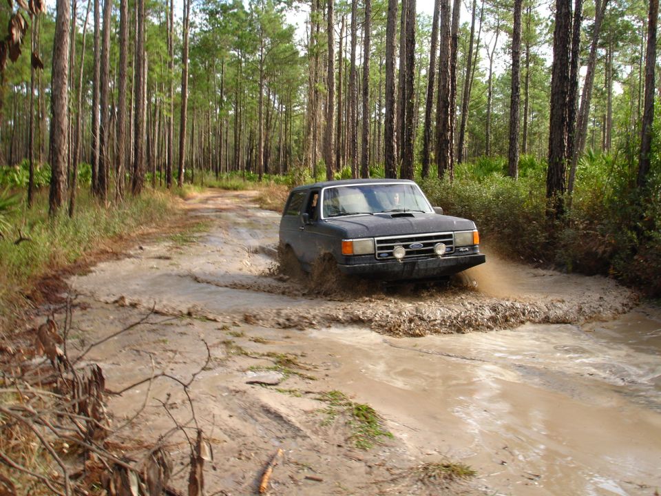 Dark blue Ford Bronco driving through a muddy puddle on a dirt road in a forest. The Bronco has a hood scoop and aftermarket lights