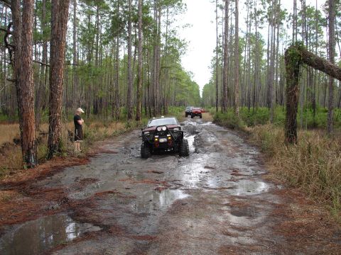 1989 Ford Bronco - Several off-road vehicles navigate a challenging, muddy trail surrounded by tall pine trees.