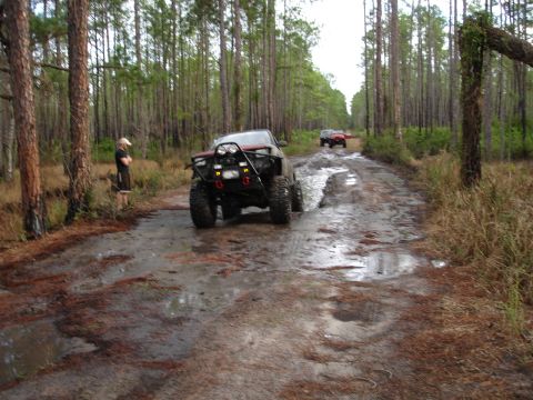 1989 Ford Bronco - Off-road vehicles drive through a wet, muddy path surrounded by tall pine trees.