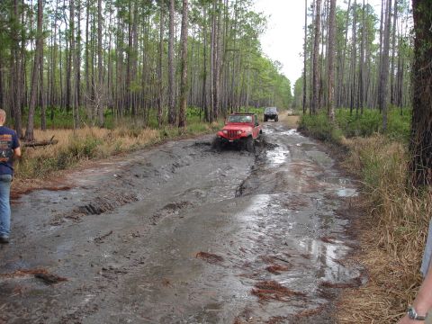 1989 Ford Bronco - Off-roading adventure on a wet forest trail with multiple vehicles navigating the mud.