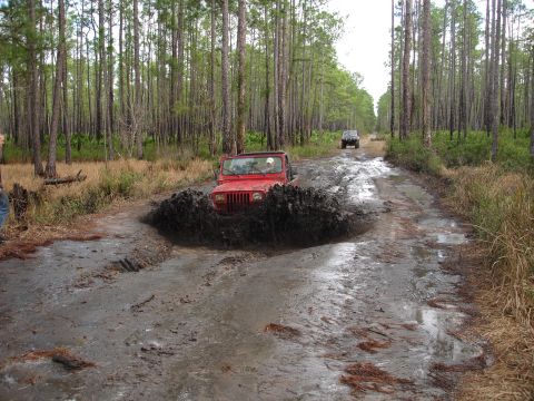 1989 Ford Bronco - A red Jeep Wrangler kicks up a large splash as it navigates a muddy trail surrounded by tall pine trees.