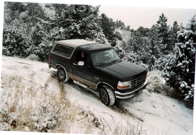 Black Ford Bronco with tan top on snowy dirt trail among snow-covered pines