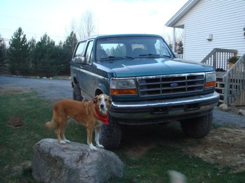 1996 Ford Bronco - A green Ford Bronco is parked outside a house with a dog standing on a rock nearby.