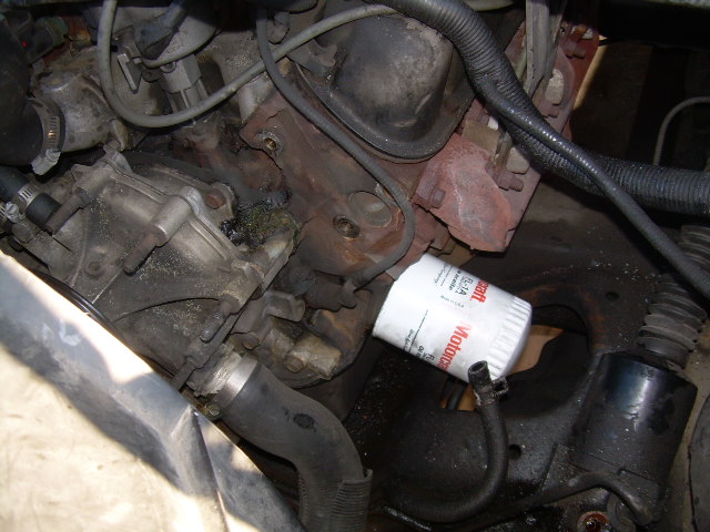 Motorcraft oil filter installed on an engine, with hoses and engine block visible