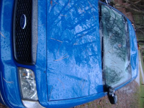 1998 Ford Crown Victoria - Blue Ford F-150 truck front corner is partially covered by a blue tarp.