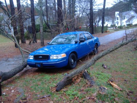 1998 Ford Crown Victoria - A blue sedan is parked on a wet road, partially obstructed by fallen trees.