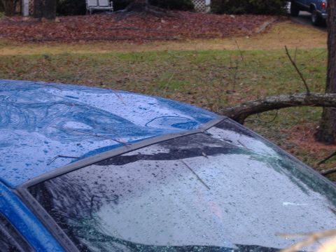 1998 Ford Crown Victoria - A blue car's roof shows damage from a fallen tree branch, with water droplets on the windshield.