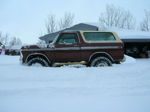 1979 Ford Bronco - A brown 1979 Ford Bronco is nearly buried in snow, with only its side visible above the drifts.