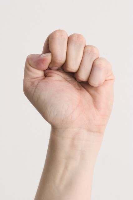 1991 Ford Bronco - A human hand is shown in a clenched fist against a plain background.