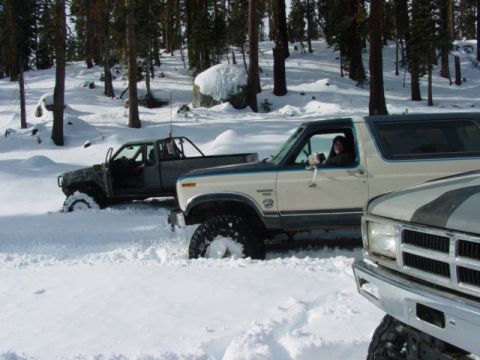 1986 Ford Bronco - Several off-road vehicles are stuck in deep snow in a wooded area.