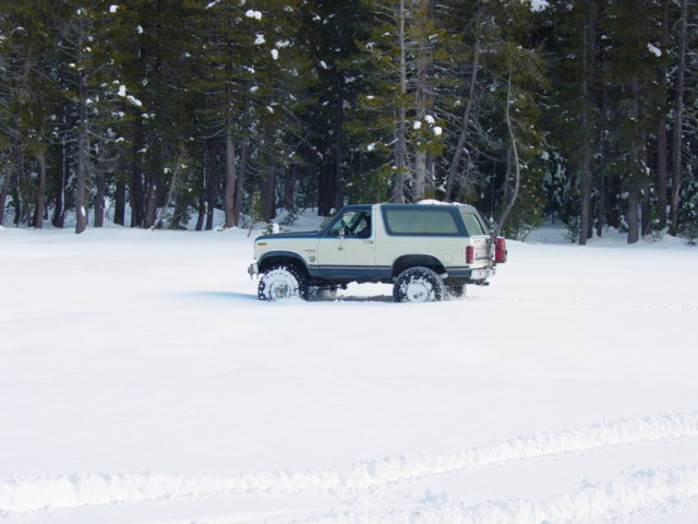 Ford Bronco driving through deep snow near a forest
