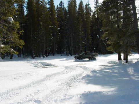 1986 Ford Bronco - A pickup truck navigates a snowy forest road, leaving tire tracks behind.