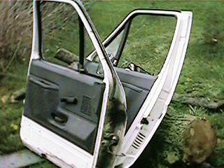 1986 Ford Bronco - free doors
