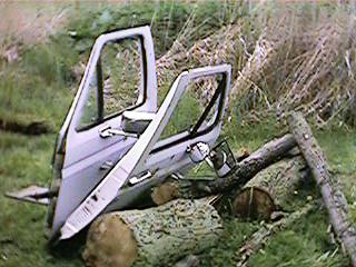 1986 Ford Bronco - Vehicle doors are seen discarded in a grassy, wooded area with logs and branches.