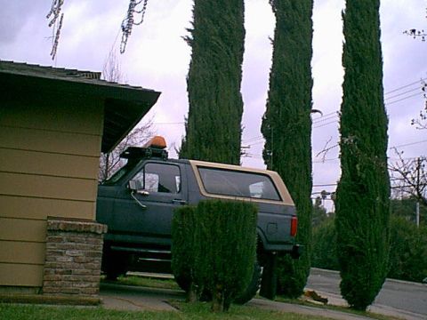 1983 Ford Bronco - here is a side view