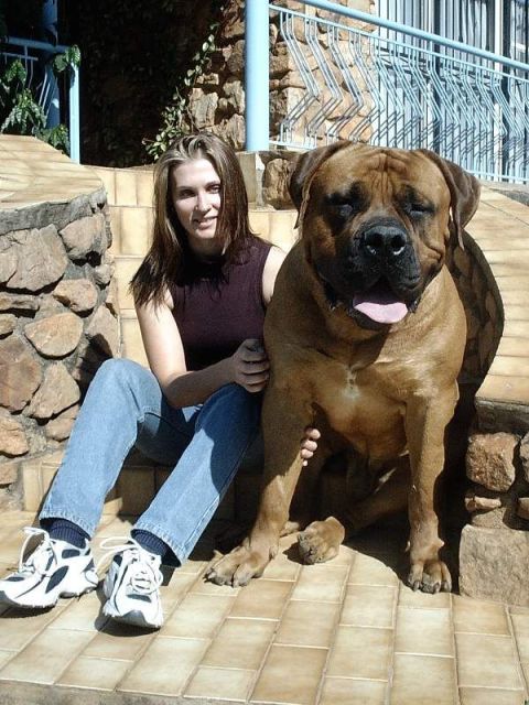 1989 Ford Bronco - A woman and her large dog pose for a photo on a set of outdoor stone steps.