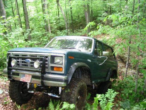 1986 Ford Bronco - This Ford Bronco is navigating a dense forest path, its off-road capabilities.