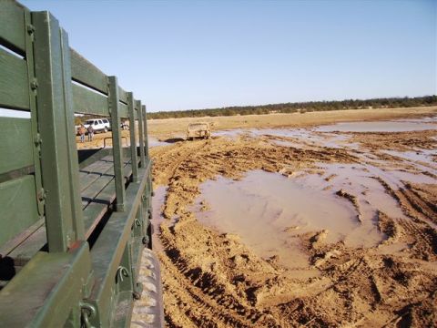 1978 Ford Bronco - View from the side of a green-painted stock or cattle trailer with wooden slat panels, looking out across a muddy, rutted field with standi…
