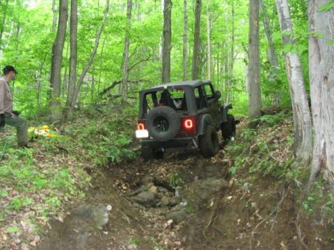 1986 Ford Bronco - A Jeep Wrangler navigates a challenging off-road trail through a dense forest.