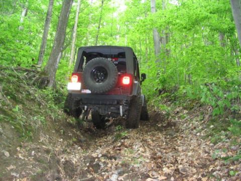 1986 Ford Bronco - A Jeep Wrangler navigates a narrow, leaf-covered path through a dense forest.