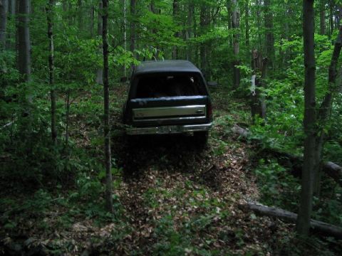 1986 Ford Bronco - 1986 Ford Bronco navigates a wooded trail, showing its rear profile.