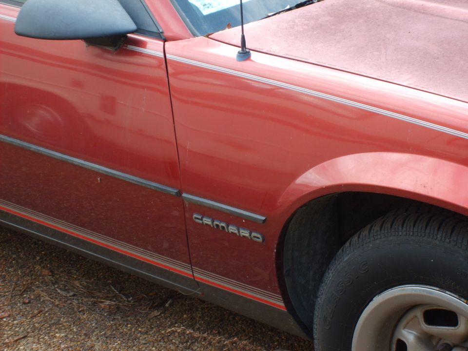 Red car door with 'CAMARO' badge and pinstripes