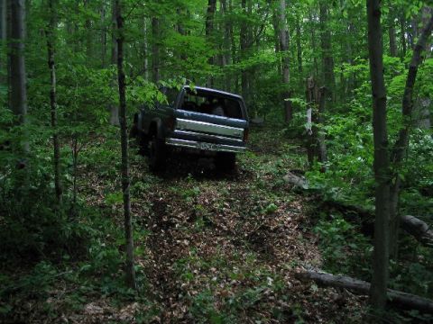 1986 Ford Bronco - A vehicle navigates a steep, leaf-covered path through a dense forest.
