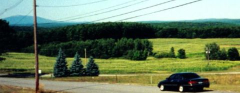 1997 Ford Crown Victoria - A black sedan is visible on a road with a wooded landscape in the background.