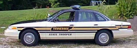 1996 Ford Crown Victoria photo