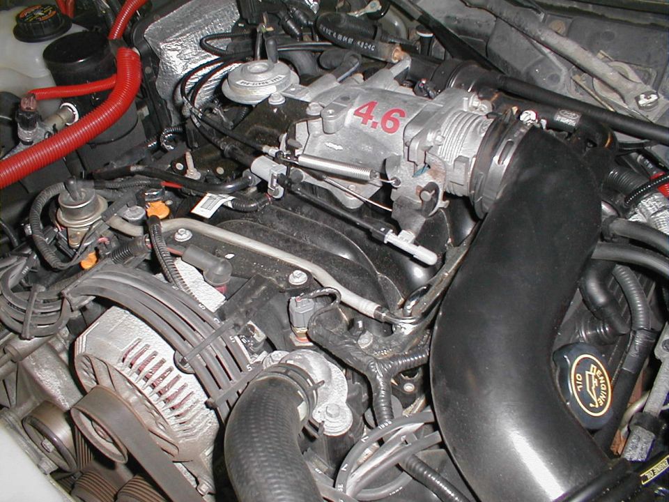 Close-up of a Ford 4.6L V8 engine with intake manifold and alternator visible