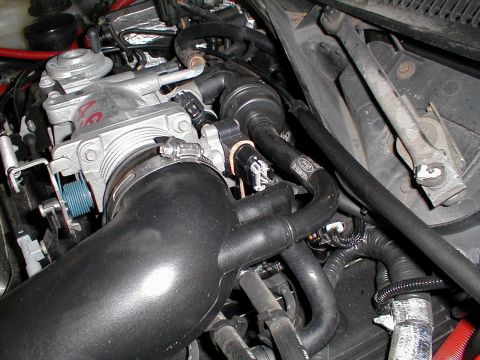 1997 Ford Crown Victoria - Close-up of engine components, focusing on the intake manifold and throttle body assembly.