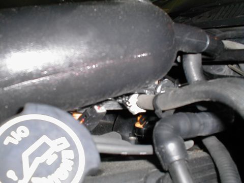 1997 Ford Crown Victoria - Close-up view of engine components, including the intake manifold, hoses, and an oil cap.