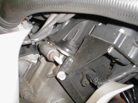 1997 Ford Crown Victoria - Engine bay detail showing various components and electrical connections.