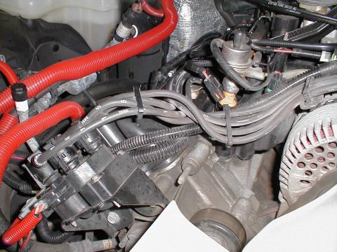 1997 Ford Crown Victoria - This image shows a section of an engine bay with various wires and components, including spark plug wires and red tubing.