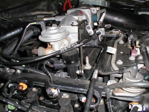 1997 Ford Crown Victoria - Engine components are visible in this close-up shot.