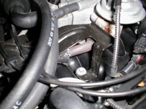1997 Ford Crown Victoria - A close-up view of various engine components, including hoses and a metal bracket, with some text visible on a hose.
