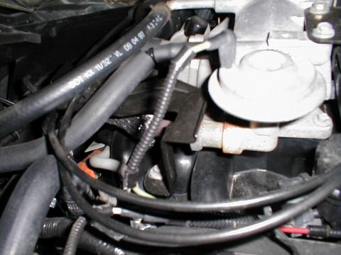 1997 Ford Crown Victoria - Close-up of engine components, including hoses and a valve cover.