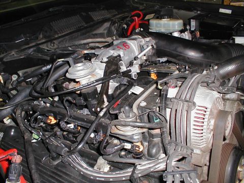 1997 Ford Crown Victoria - Close-up view of the engine bay, highlighting the intake manifold and associated components.