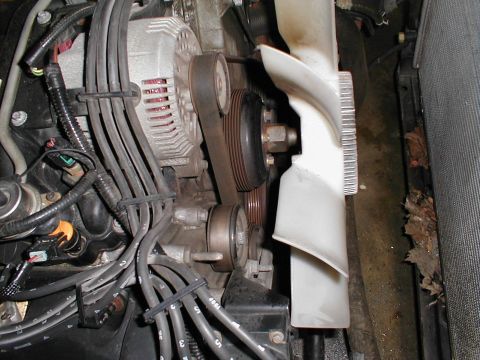 1997 Ford Crown Victoria - A view of the engine compartment showing the alternator, drive belts, and cooling fan assembly.