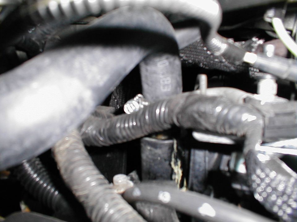Engine hoses and wiring loom, close-up view