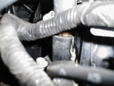 1997 Ford Crown Victoria - Close-up view of engine bay hoses and components, with a watermark from Supermotors.net visible.